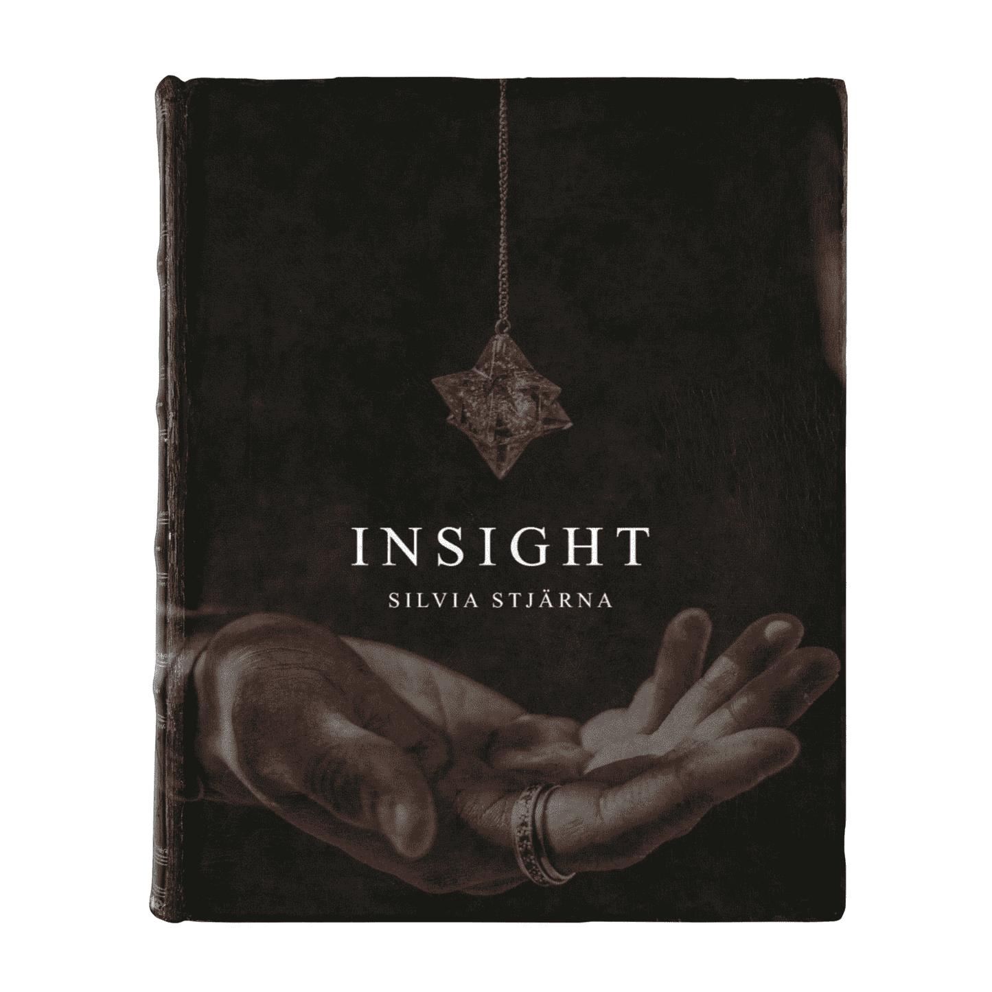 Insight by Silvia Stjarna (eBook)