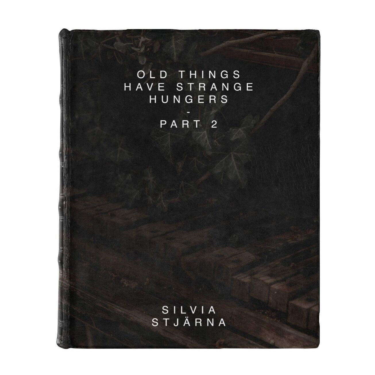 Silvia Stjärna: Old Things Have Strange Hungers Pt. 2 (eBook)